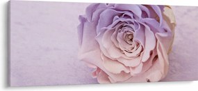 Obraz detailu kvetu ruže (120x50 cm)