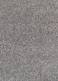 Koberce Breno Metrážny koberec DALESMAN 71, šíře role 400 cm, sivá, viacfarebná