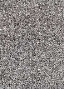 Koberce Breno Metrážny koberec DALESMAN 71, šíře role 400 cm, sivá, viacfarebná