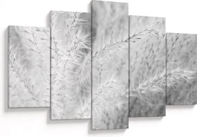 Obraz - Pampas grass N⁰1 (150x105 cm)