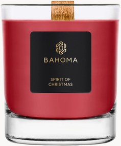 Vonná sviečka Sprit of Christmas (Cassis, Clove & Amber)