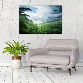 Obraz - Seychelská jungle (90x60 cm)