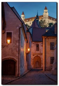 Obraz na plátne - Bratislava staré mesto s hradom vzadu - obdĺžnik 7265A (75x50 cm)