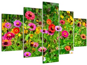 Obraz lúčnych kvetov (150x105 cm)