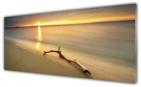 Obraz plexi Oceán pláž príroda 125x50 cm