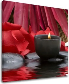 Obraz na stenu FENG SHUI FS040E12