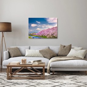 Sklenený obraz - Japonská jarná krajina (70x50 cm)