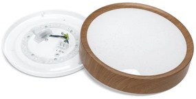 Aigostar - LED Stropné svietidlo LED/12W/230V 6500K pr. 26,3 cm