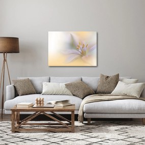 Obraz - Jemný kvet (70x50 cm)