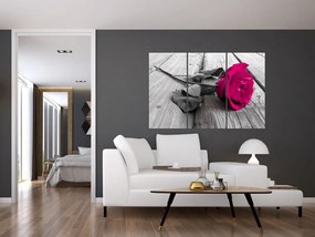 Ruže fialová - obraz