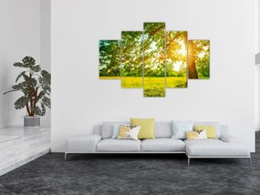 Obraz - Slnečný les (150x105 cm)