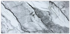 Dizajnový FLEXI panel ZT188257 šedý 120x60 cm