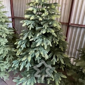 Smrek Tajga 3D 220 cm