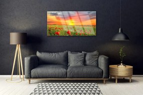 Skleneny obraz Maky slnko rastlina príroda 140x70 cm