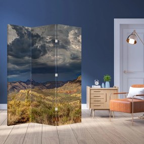 Paraván - Kaktusy v prírode (126x170 cm)