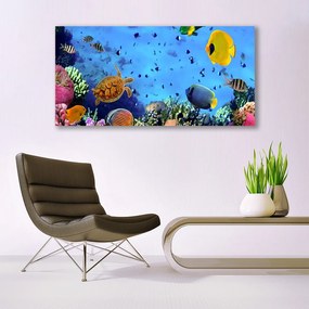 Obraz na akrylátovom skle Koralový útes ryba príroda 120x60 cm