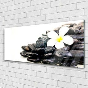 Obraz plexi Kvety kamene umenie 125x50 cm