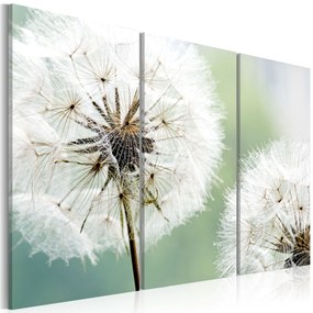 Artgeist Obraz - Fluffy dandelions Veľkosť: 120x80, Verzia: Standard