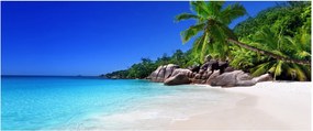 Obraz pláže na Praslin ostrove (120x50 cm)