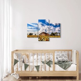 Obraz slnečnicového poľa (90x60 cm)
