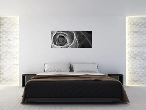 Obraz - Abstraktné ruže čiernobiela (120x50 cm)