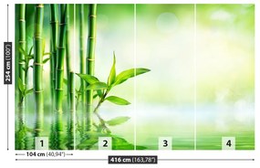 Fototapeta Vliesová Bambusová voda 250x104 cm