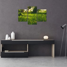 Obraz prírody - lúka (90x60 cm)