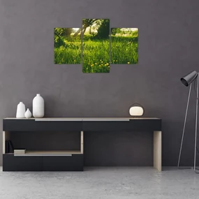 Obraz prírody - lúka (90x60 cm)