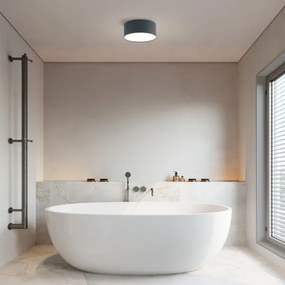 Brilagi - LED kúpeľňové stropné svietidlo FORIS LED/20W/230V pr. 15 cm antracit IP44