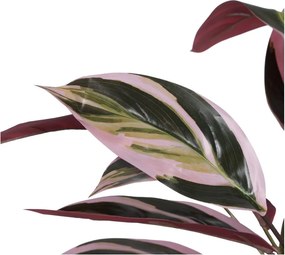 Umelá rastlina (výška 55 cm) Bird of Paradise – Ixia