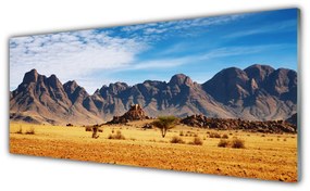 Obraz plexi Púšť hory príroda 125x50 cm
