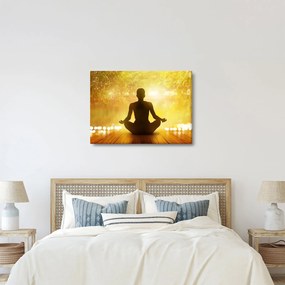 Obraz - Meditácia (70x50 cm)