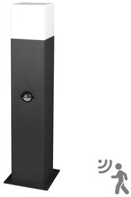 Vonkajšia lampa so senzorom NEW YORK 1xE27/12W/230V IP44 44 cm antracit