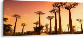 Obraz - Západ slnka v uličke Baobab (120x50 cm)