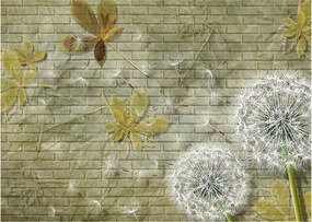 Obraz - Púpavy unášané vetrom (70x50 cm)