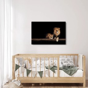 Obraz - Lev a levice (90x60 cm)