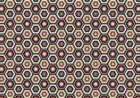 Fototapeta - Šesťuholník (254x184 cm)