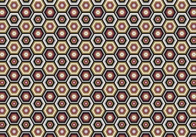 Fototapeta - Šesťuholník (152,5x104 cm)