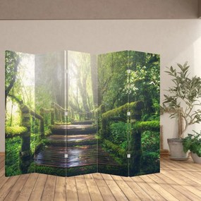 Paraván - Drevené schody v lese (210x170 cm)