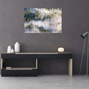 Obraz stromov v hmle (90x60 cm)
