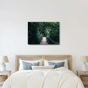 Obraz - Cesta lesom (70x50 cm)