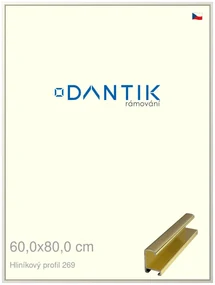 DANTIK rám na obraz 60x80 | ALU Zlatá lesklá (Plexi Čiré)