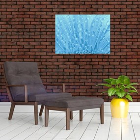 Obraz - Makro záber kvetu (70x50 cm)