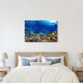 Obraz - Oceán (90x60 cm)