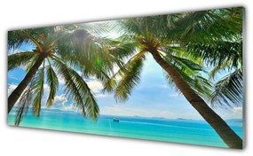 Obraz plexi Palma strom more krajina 125x50 cm