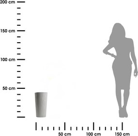 - výber z 5 prevedení