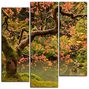 Obraz na plátne - Červený javor jeseň - štvorec 3241C (75x75 cm)