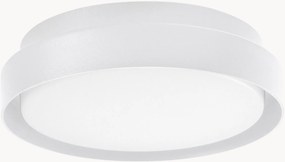 Exteriérové stropné LED svietidlo Oliver