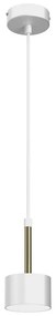 Luster na lanku ARENA 1xGX53/11W/230V biela/zlatá