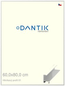 DANTIK rám na obraz 60x80 | ALU Stříbrná lesklá (Plexi Čiré)